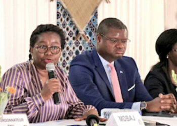 PARTENARIAT TOGO-PNUD :  BILAN DES ACTIVITES DE 2020 ET PERSPECTIVES POUR L’ANNEE 2021