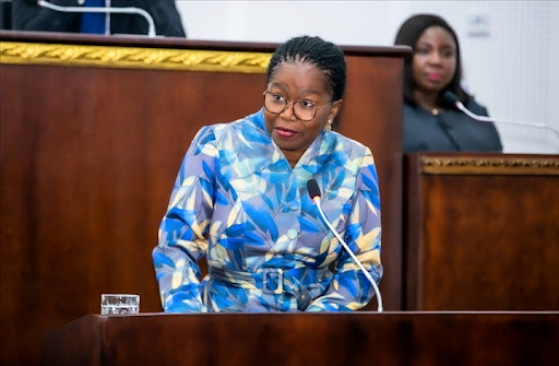 LE NOUVEAU GOUVERNEMENT TOGOLAIS REÇOIT L’APPROBATION DES DÉPUTÉS