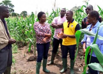LE SECTEUR AGRICOLE