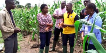 LE SECTEUR AGRICOLE