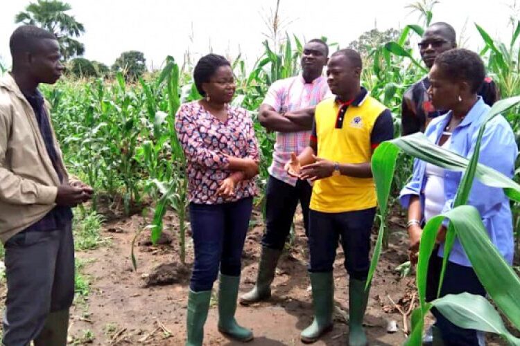 LE SECTEUR AGRICOLE